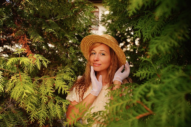 似乎已经开 似乎已经开