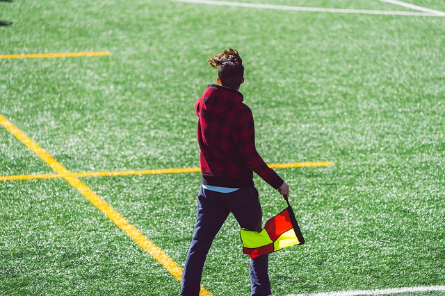 冰上国际象 冰上国际象